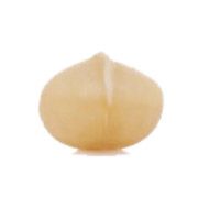 Noix de Macadamia Soufiane foods Maroc entières