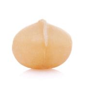 Noix de Macadamia Soufiane foods Maroc