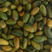 pistache Émondées soufiane foods tanger maroc 4