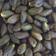 pistache Émondées soufiane foods tanger maroc