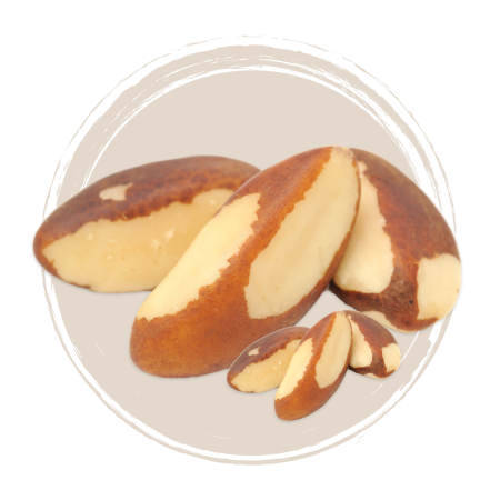 macadamia 2 – 4 macadamia 2 – 4